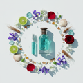 Jean Lowe Fantasme - Ingredient Flat-lay